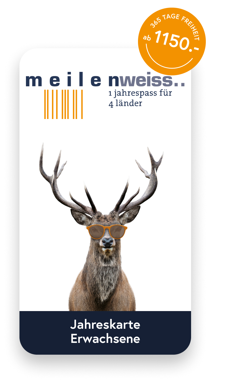 MW_CARD_EW