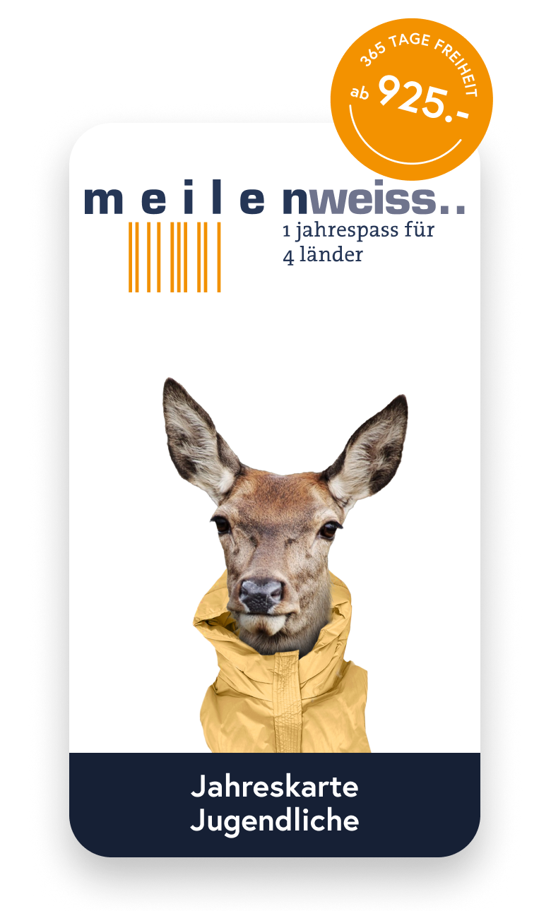 MW_CARD_JU